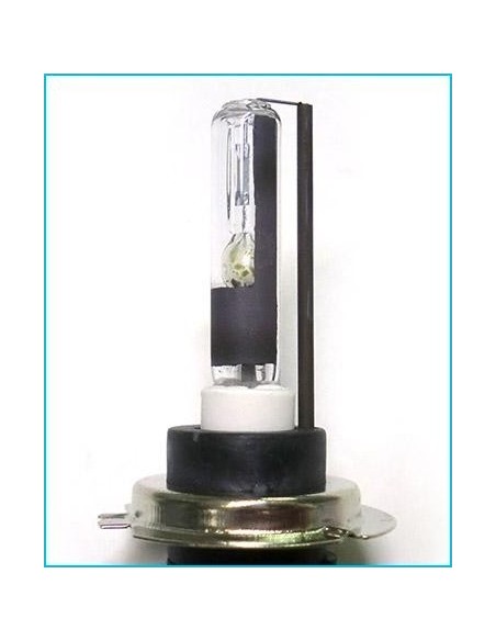 lampade Xeno H7R 5000K 35W Oscurata (2 PZ)