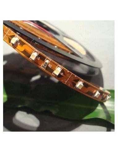 Bobina 5 Metri 300 Led  Bianco Freddo