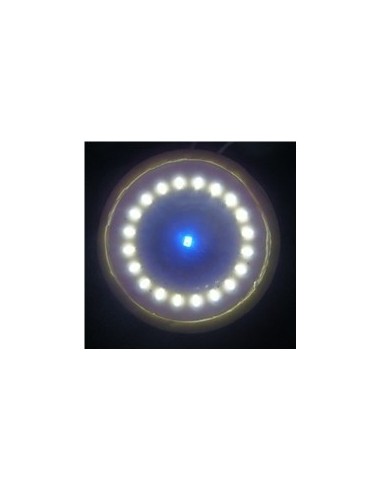 Plafoniera Led Fiat Lancia Alfa