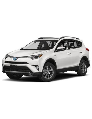Kit Led Anabbaglianti RAV4 2016