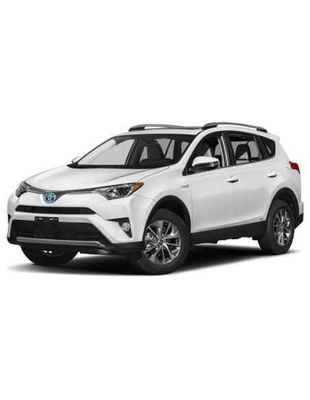 Kit Led Anabbaglianti RAV4 2016
