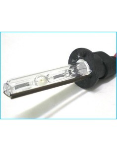 lampade Xeno H1 6000K 35W (2 pz)