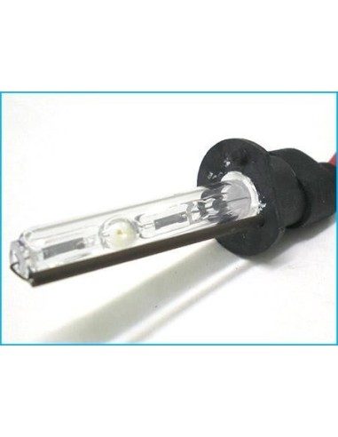 lampade Xeno H1 6000K 35W (2 pz)