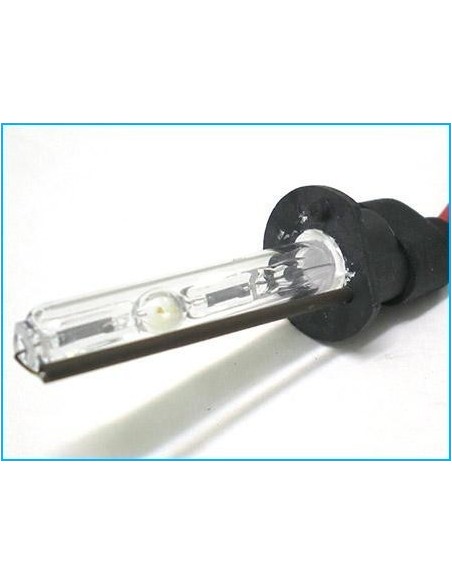 lampade Xeno H1 6000K 35W (2 pz)
