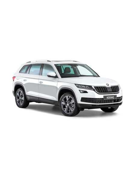 Kit Led Anabbagliante Kodiaq 2018