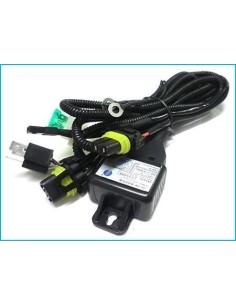 Cablaggio Unico per H4 24V