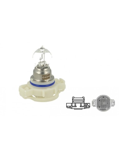 Kit Led PS24W-PG20/3 Cambus 6500k