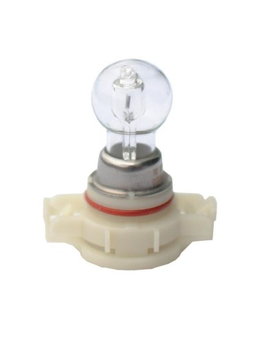 Kit Led PSX24W-PG20/7 Cambus 6500k