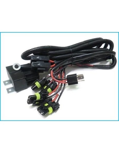 Cablaggio Unico per H4 Doppio Bulbo 12V