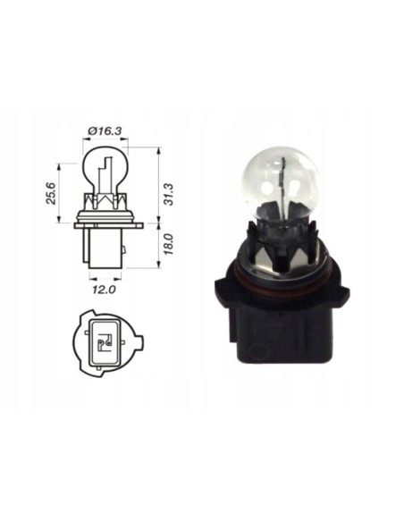 Kit Led P13W PG18.5D-1 Cambus 6500k