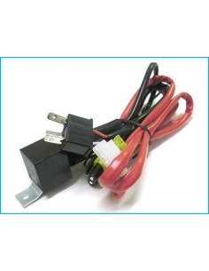 Cablaggio Unico relè stabilizzatore per H4 12V