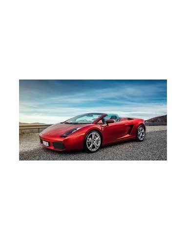 kit plafoniera Gallardo