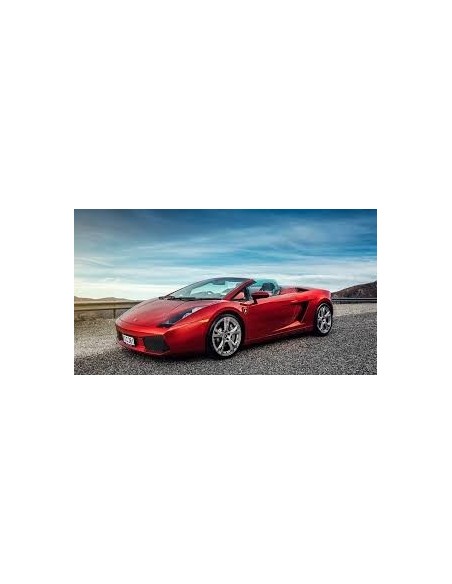 kit plafoniera Gallardo