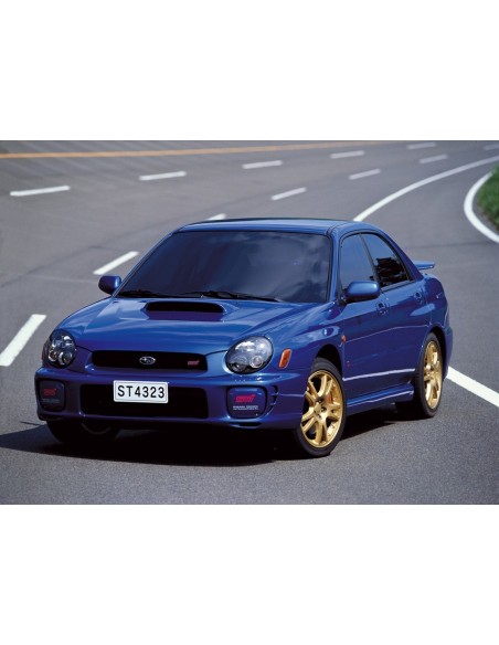 Plafoniera centrale impreza dal 2001