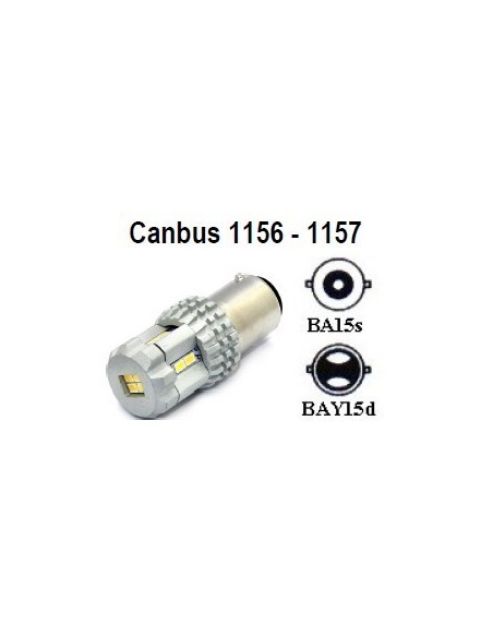 Base BAY15d biluce Bianca