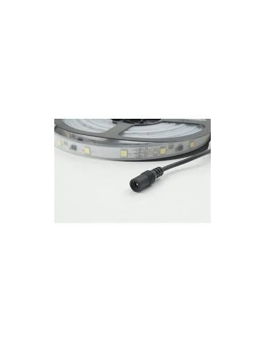 Strip Led 5 mt white con Telecomando