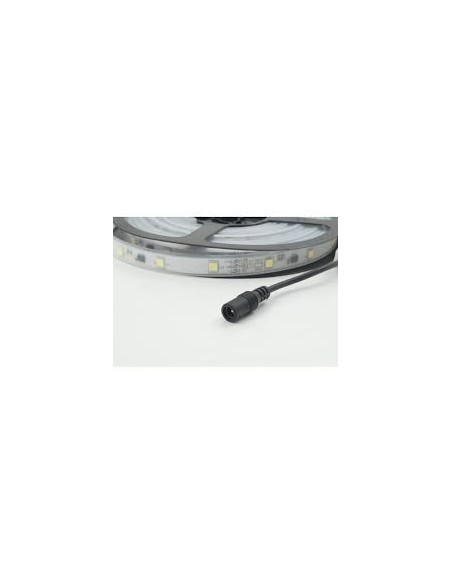 Strip Led 5 mt white con Telecomando