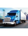 Camion 24V