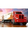 Camion 24V