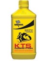 Olio Motore 2T