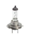 Lampadine Alogene Normali