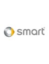 Smart
